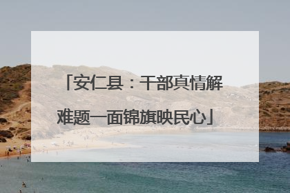 安仁县：干部真情解难题一面锦旗映民心