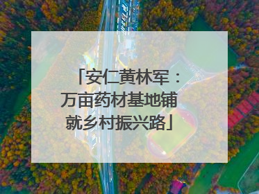 安仁黄林军：万亩药材基地铺就乡村振兴路