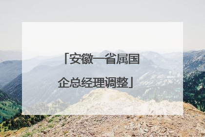 安徽一省属国企总经理调整
