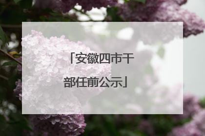 安徽四市干部任前公示