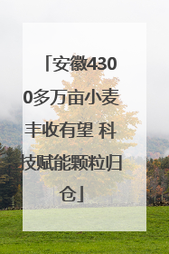 安徽4300多万亩小麦丰收有望 科技赋能颗粒归仓