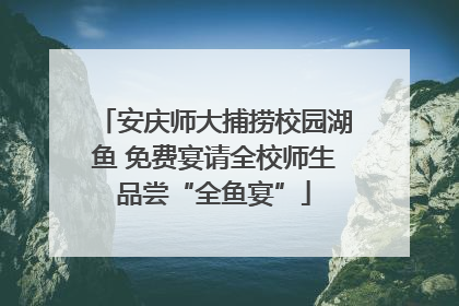 安庆师大捕捞校园湖鱼 免费宴请全校师生品尝“全鱼宴”
