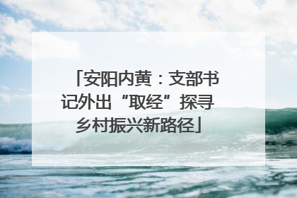 安阳内黄：支部书记外出“取经”探寻乡村振兴新路径