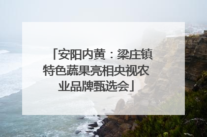 安阳内黄：梁庄镇特色蔬果亮相央视农业品牌甄选会