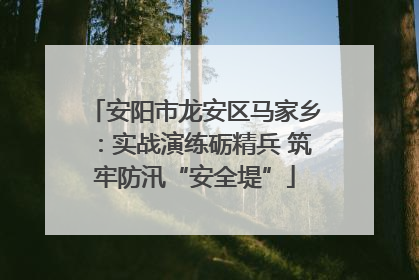 安阳市龙安区马家乡：实战演练砺精兵 筑牢防汛“安全堤”