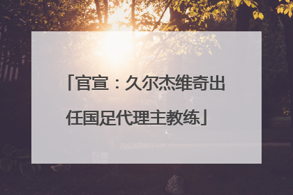 官宣：久尔杰维奇出任国足代理主教练