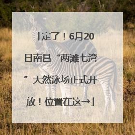 定了！6月20日南昌“两滩七湾”天然泳场正式开放！位置在这→