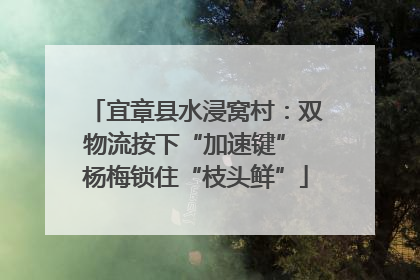 宜章县水浸窝村：双物流按下“加速键” 杨梅锁住“枝头鲜”