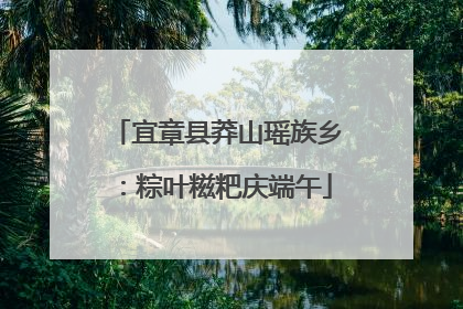 宜章县莽山瑶族乡：粽叶糍粑庆端午