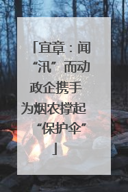 宜章：闻“汛”而动 政企携手为烟农撑起“保护伞”
