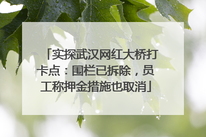 实探武汉网红大桥打卡点：围栏已拆除，员工称押金措施也取消