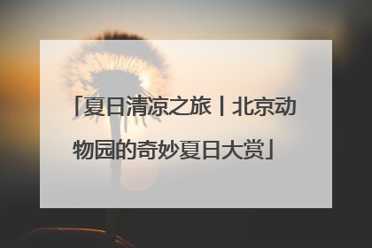 夏日清凉之旅丨北京动物园的奇妙夏日大赏