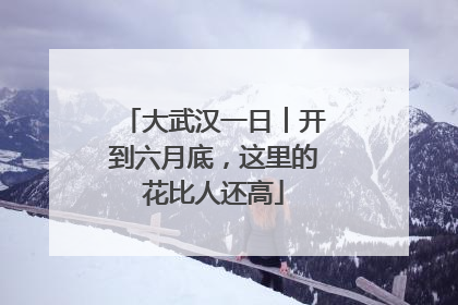 大武汉一日︱开到六月底，这里的花比人还高