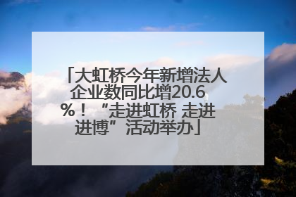 大虹桥今年新增法人企业数同比增20.6%！“走进虹桥 走进进博”活动举办