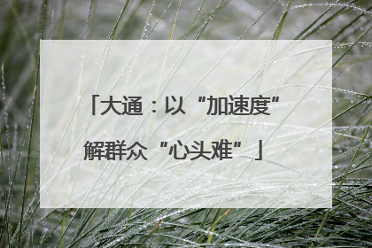 大通：以“加速度”解群众“心头难”