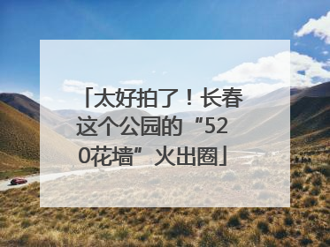 太好拍了！长春这个公园的“520花墙”火出圈