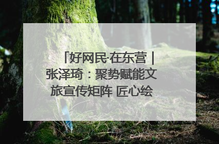 好网民·在东营｜张泽琦：聚势赋能文旅宣传矩阵 匠心绘就东营诗与远方