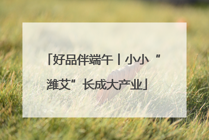 好品伴端午丨小小“潍艾”长成大产业