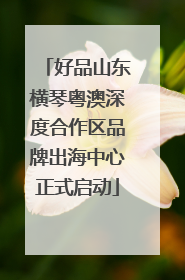 好品山东横琴粤澳深度合作区品牌出海中心正式启动
