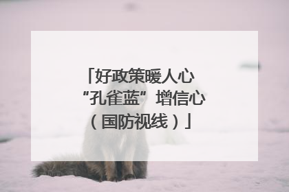 好政策暖人心 “孔雀蓝”增信心（国防视线）