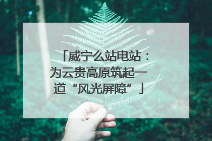 威宁么站电站：为云贵高原筑起一道“风光屏障”