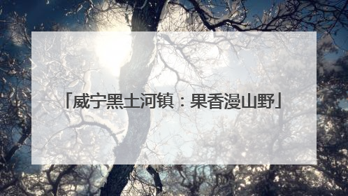 威宁黑土河镇：果香漫山野