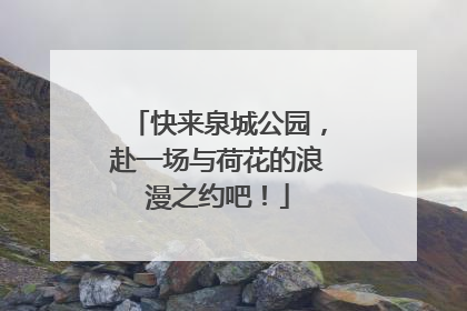 快来泉城公园，赴一场与荷花的浪漫之约吧！