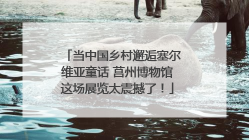 当中国乡村邂逅塞尔维亚童话 莒州博物馆这场展览太震撼了！
