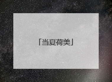 当夏荷美