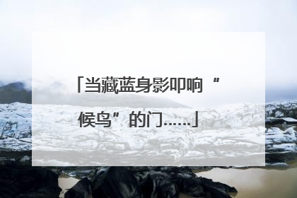 当藏蓝身影叩响“候鸟”的门……