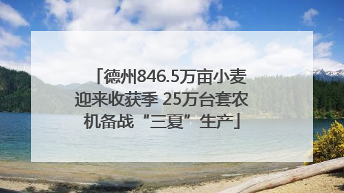 德州846.5万亩小麦迎来收获季 25万台套农机备战“三夏”生产