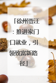 徐州贾汪：推进家门口就业，引领致富新路径