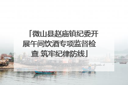 微山县赵庙镇纪委开展午间饮酒专项监督检查 筑牢纪律防线