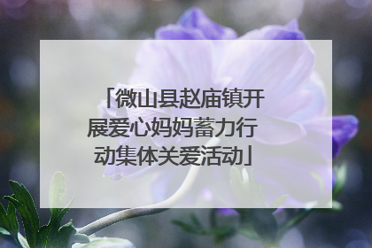 微山县赵庙镇开展爱心妈妈蓄力行动集体关爱活动