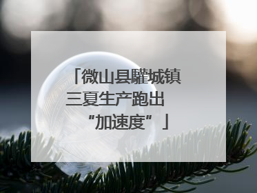微山县驩城镇三夏生产跑出 “加速度”