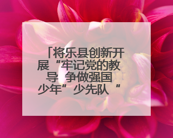 将乐县创新开展“牢记党的教导  争做强国少年”少先队“入队第一课”主题活动