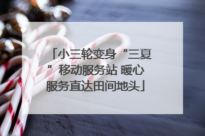 小三轮变身“三夏”移动服务站 暖心服务直达田间地头