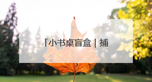 小书桌盲盒｜捕捉生活中的瞬间