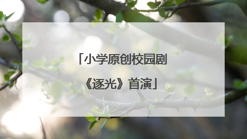 小学原创校园剧《逐光》首演