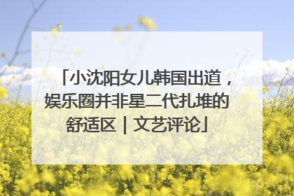 小沈阳女儿韩国出道，娱乐圈并非星二代扎堆的舒适区｜文艺评论