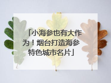 小海参也有大作为！烟台打造海参特色城市名片