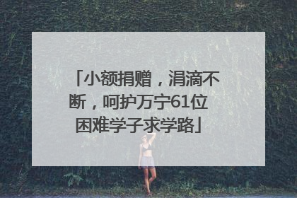 小额捐赠，涓滴不断，呵护万宁61位困难学子求学路