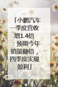 小鹏汽车一季度营收增1.4倍：预期今年销量翻倍，四季度实现盈利