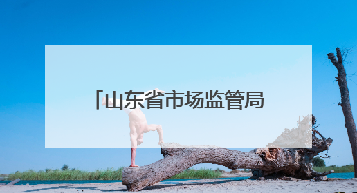 山东省市场监管局公布2024年电热毯产品质量省级专项监督抽查结果