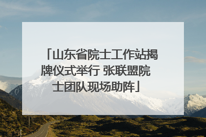 山东省院士工作站揭牌仪式举行 张联盟院士团队现场助阵