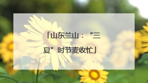 山东兰山：“三夏”时节麦收忙