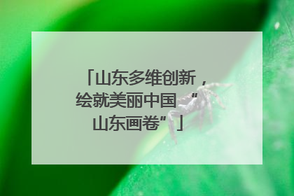 山东多维创新，绘就美丽中国 “山东画卷”
