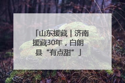 山东援藏｜济南援藏30年，白朗县“有点甜”