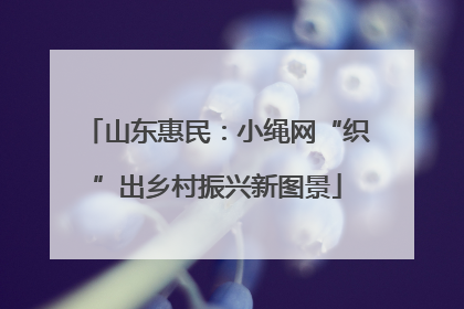 山东惠民：小绳网“织”出乡村振兴新图景