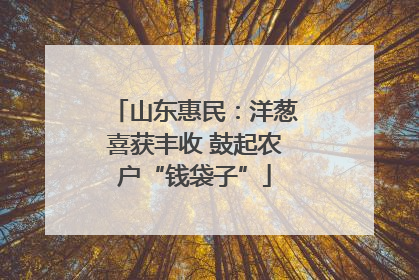 山东惠民：洋葱喜获丰收 鼓起农户“钱袋子”